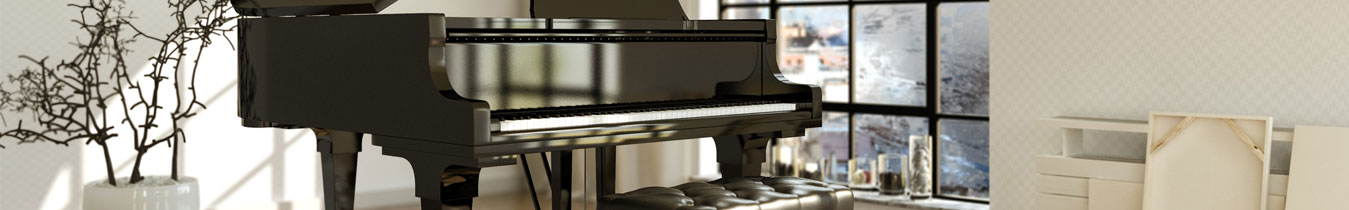 Assurance Instrument de musique